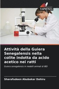 bokomslag Attivit della Guiera Senegalensis nella colite indotta da acido acetico nei ratti