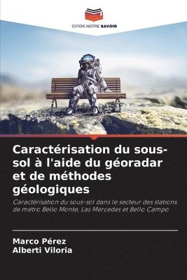 bokomslag Caractrisation du sous-sol  l'aide du goradar et de mthodes gologiques