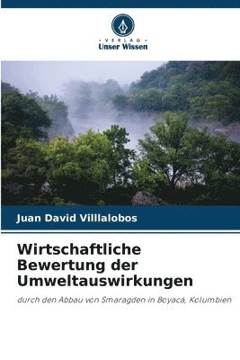 bokomslag Wirtschaftliche Bewertung der Umweltauswirkungen