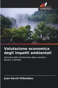 bokomslag Valutazione economica degli impatti ambientali
