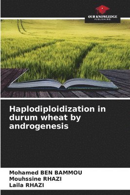 Haplodiploidization in durum wheat by androgenesis 1