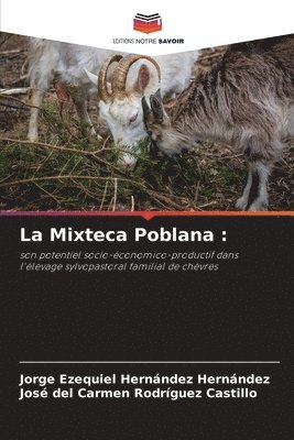 bokomslag La Mixteca Poblana