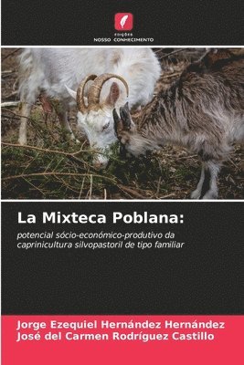 bokomslag La Mixteca Poblana