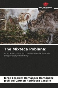 bokomslag The Mixteca Poblana