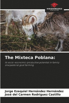 The Mixteca Poblana 1