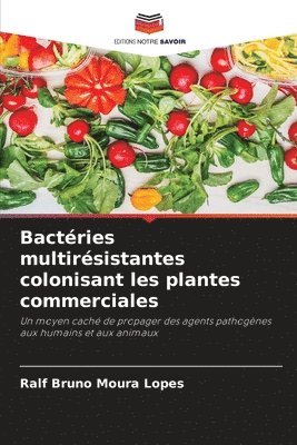 bokomslag Bactries multirsistantes colonisant les plantes commerciales