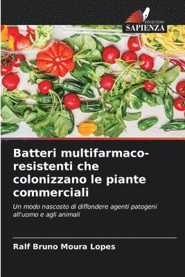 Batteri multifarmaco-resistenti che colonizzano le piante commerciali 1