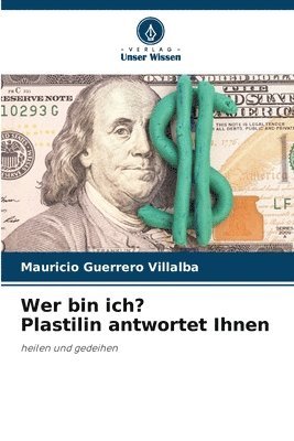 bokomslag Wer bin ich? Plastilin antwortet Ihnen