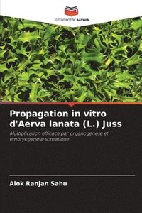 bokomslag Propagation in vitro d'Aerva lanata (L.) Juss