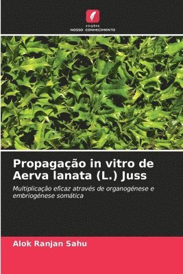 bokomslag Propagao in vitro de Aerva lanata (L.) Juss
