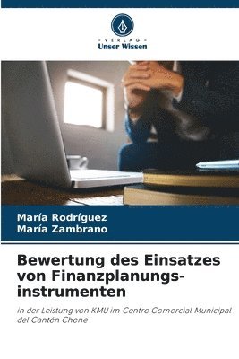 bokomslag Bewertung des Einsatzes von Finanzplanungs-instrumenten