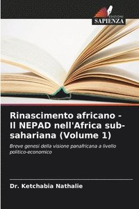 bokomslag Rinascimento africano - Il NEPAD nell'Africa sub-sahariana (Volume 1)