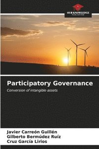 bokomslag Participatory Governance