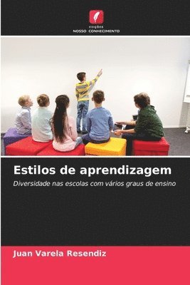 bokomslag Estilos de aprendizagem