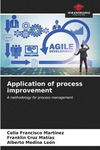bokomslag Application of process improvement