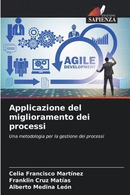 bokomslag Applicazione del miglioramento dei processi