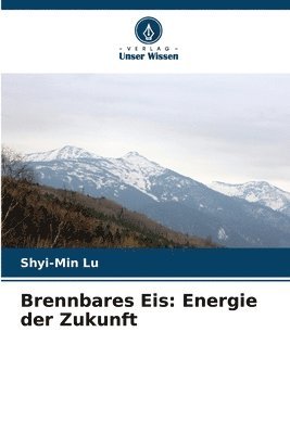 Brennbares Eis 1