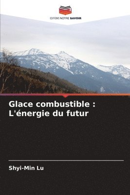 bokomslag Glace combustible