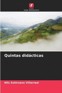 bokomslag Quintas didcticas