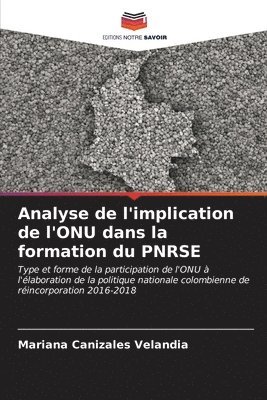 Analyse de l'implication de l'ONU dans la formation du PNRSE 1