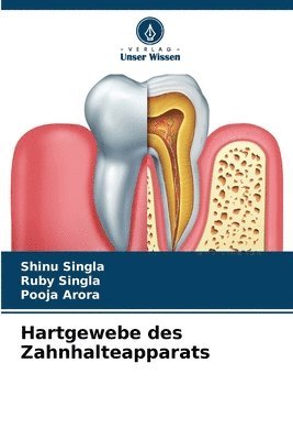 bokomslag Hartgewebe des Zahnhalteapparats