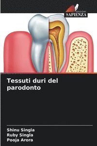 bokomslag Tessuti duri del parodonto