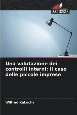 bokomslag Una valutazione dei controlli interni