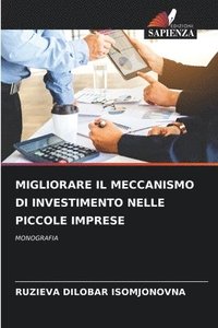 bokomslag Migliorare Il Meccanismo Di Investimento Nelle Piccole Imprese