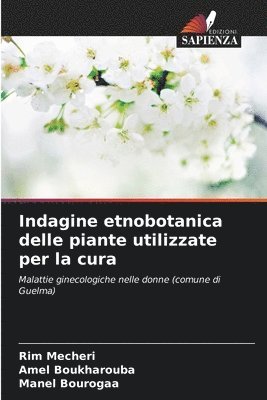 bokomslag Indagine etnobotanica delle piante utilizzate per la cura