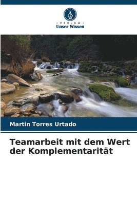 bokomslag Teamarbeit mit dem Wert der Komplementaritt