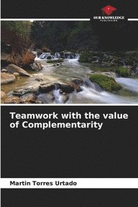 bokomslag Teamwork with the value of Complementarity
