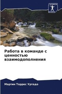 bokomslag &#1056;&#1072;&#1073;&#1086;&#1090;&#1072; &#1074; &#1082;&#1086;&#1084;&#1072;&#1085;&#1076;&#1077; &#1089; &#1094;&#1077;&#1085;&#1085;&#1086;&#1089;&#1090;&#1100;&#1102;