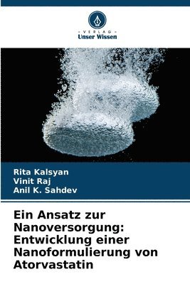 bokomslag Ein Ansatz zur Nanoversorgung