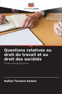 bokomslag Questions relatives au droit du travail et au droit des socits