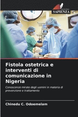 bokomslag Fistola ostetrica e interventi di comunicazione in Nigeria