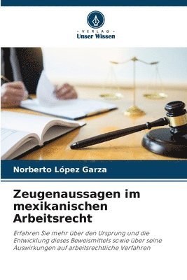 bokomslag Zeugenaussagen im mexikanischen Arbeitsrecht