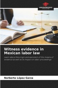 bokomslag Witness evidence in Mexican labor law