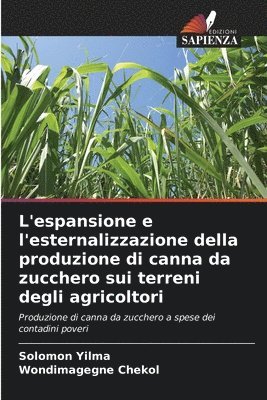 L'espansione e l'esternalizzazione della produzione di canna da zucchero sui terreni degli agricoltori 1