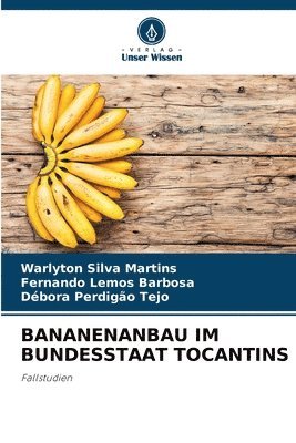 Bananenanbau Im Bundesstaat Tocantins 1