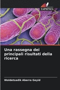 bokomslag Una rassegna dei principali risultati della ricerca