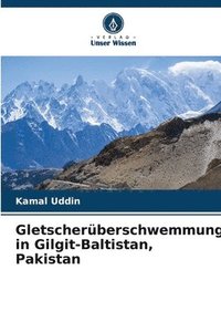 bokomslag Gletscherberschwemmungen in Gilgit-Baltistan, Pakistan