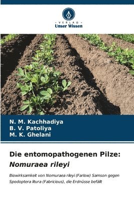 bokomslag Die entomopathogenen Pilze