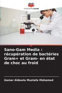 bokomslag Sano-Gam Media