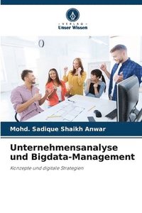 bokomslag Unternehmensanalyse und Bigdata-Management