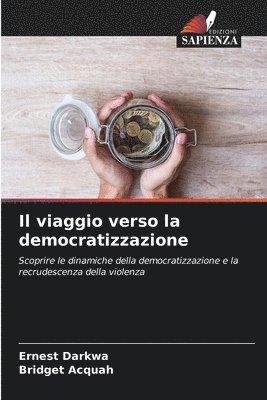 bokomslag Il viaggio verso la democratizzazione