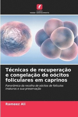 bokomslag Tcnicas de recuperao e congelao de ocitos foliculares em caprinos