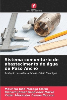 bokomslag Sistema comunitrio de abastecimento de gua de Paso Ancho