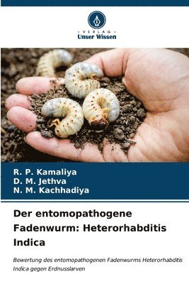 Der entomopathogene Fadenwurm 1