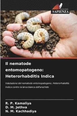 bokomslag Il nematode entomopatogeno