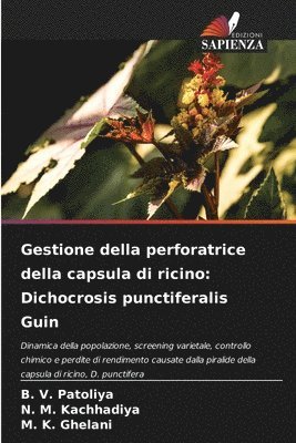 bokomslag Gestione della perforatrice della capsula di ricino